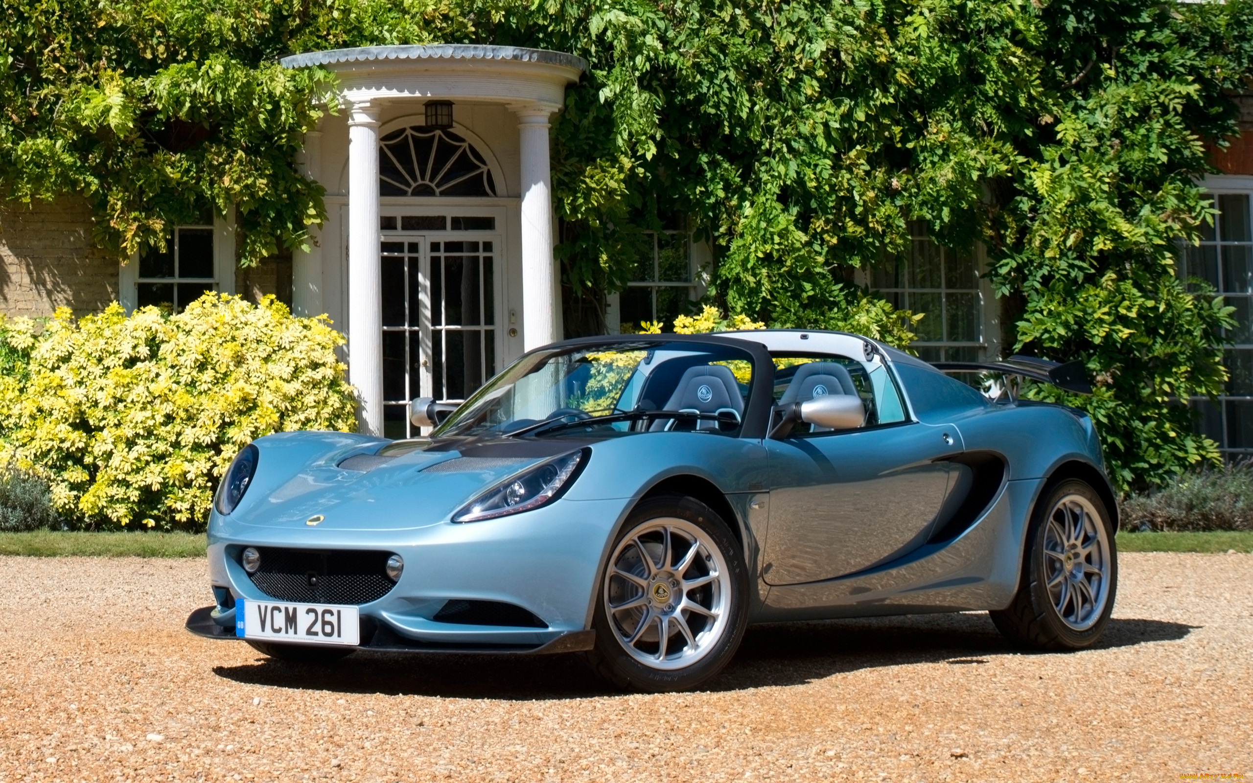 , lotus
